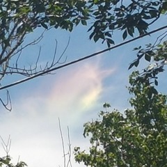 Walking Down These Old Roads ( DEMO )