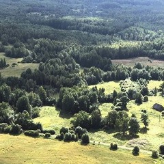Oled Tuul Ja Päike (1996)