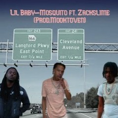 Lil Baby - Mosquito ft. Zackslime (Prod. Mooktoven)