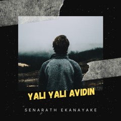 යලි යලි ඇවිදින්   |  Yali Yali Avidin - Sinhala Pop Song By Senarath Ekanayake
