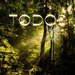 TODOS Deep Exotic Set