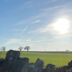 Divine (prod. legos)