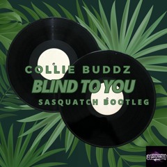 Blind to You (Sasquatch Bootleg Remix)