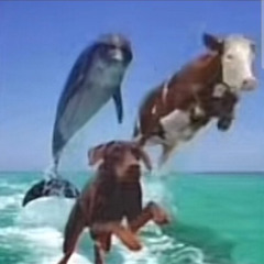 seeya