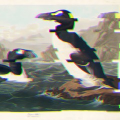 Funk Island