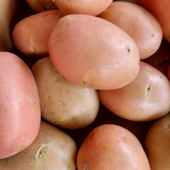 Potatoes