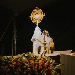 VERBUM PANIS (cover sem edição)