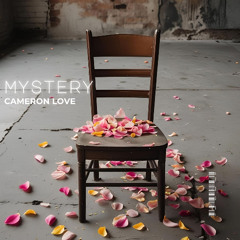 Mystery (Acoustic Live)