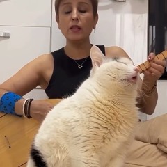 STBB #976 Spiritual Voices Hosted by JoaGymshoe and Uncle Heshy