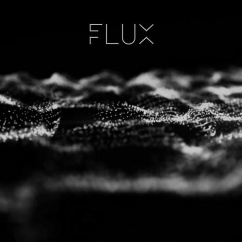Flux 004