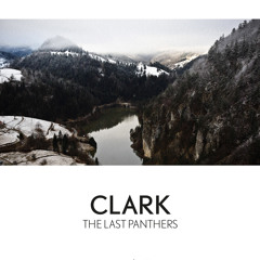 Warp Records - part 11