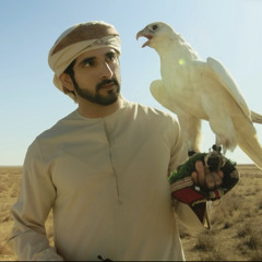 يا طير لك نيه - ميحد حمد