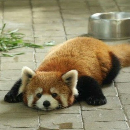 i think about you when i shouldnt. @holdmetillicry