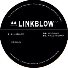 Premiere: B1. Miroloja - Morgan [NINJA002]