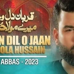Aye-Chand-Muharram-Ke-Mesum-Abbas-2023-1445.mp3