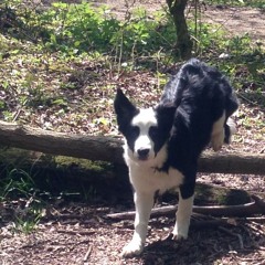 Best of 'Good Tunes' #7 [2025-2026]