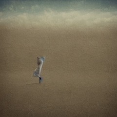 今日も一日、お疲れ様でした