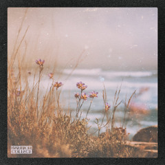 Thorn.vii - Felt This Way