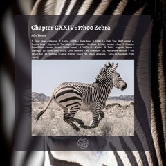 Chapter CXXIV : 17h00 Zebra