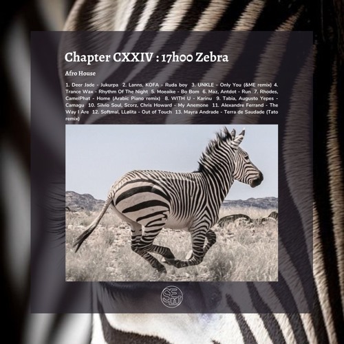 Chapter CXXIV : 17h00 Zebra