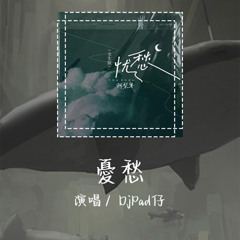 DjPad仔 - 憂愁 「又搁睏袂去 犹原搁想到你」【動態歌詞/pīn yīn gē cí】 #DjPad仔 #憂愁 #動態歌詞 #LyricsVideo