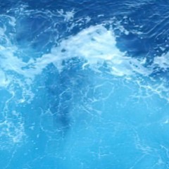 Waters