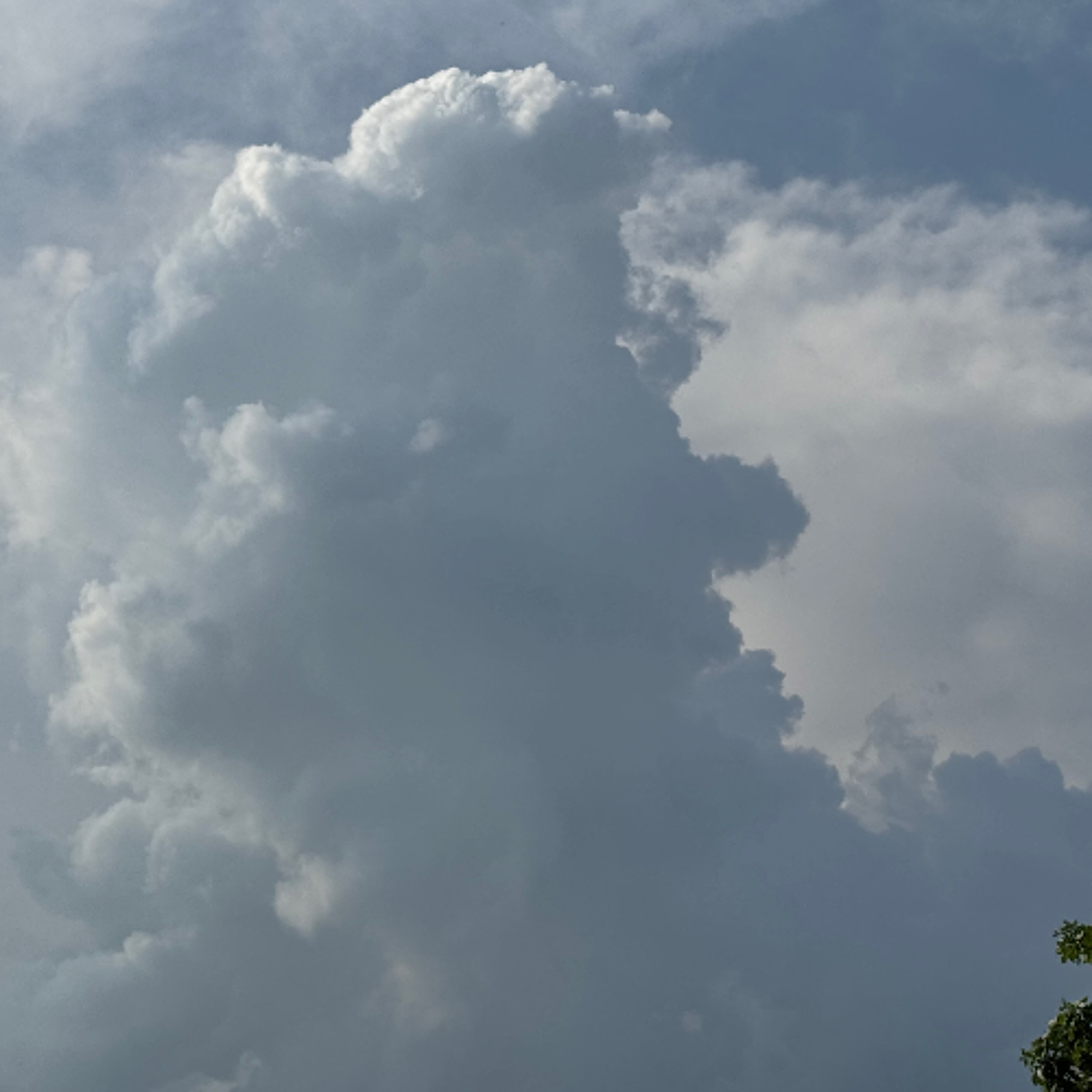 Forecast from Wednesday 7-8-26
