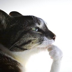 25/05/05 @My Basement