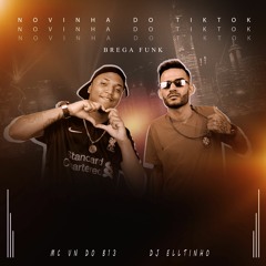 Novinha Do TikTok - MC VN Do B13 E DJ Elltinho - BREGA FUNK