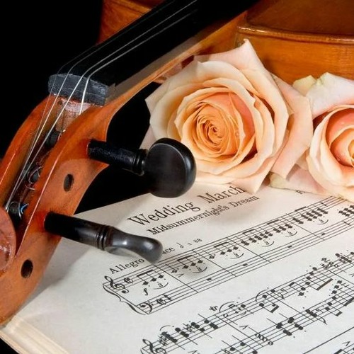 (Libro background clip - Free Download