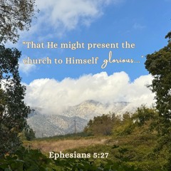 Christ and the Church