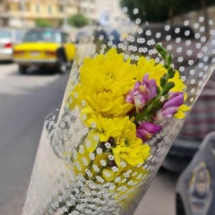 جوزيات (المن بالعبادة)