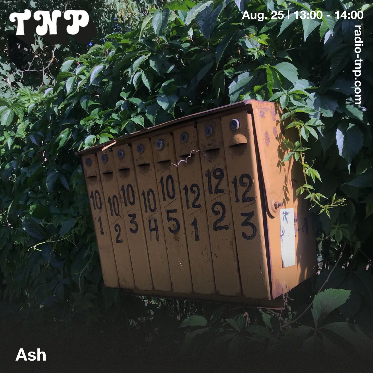 Ash
