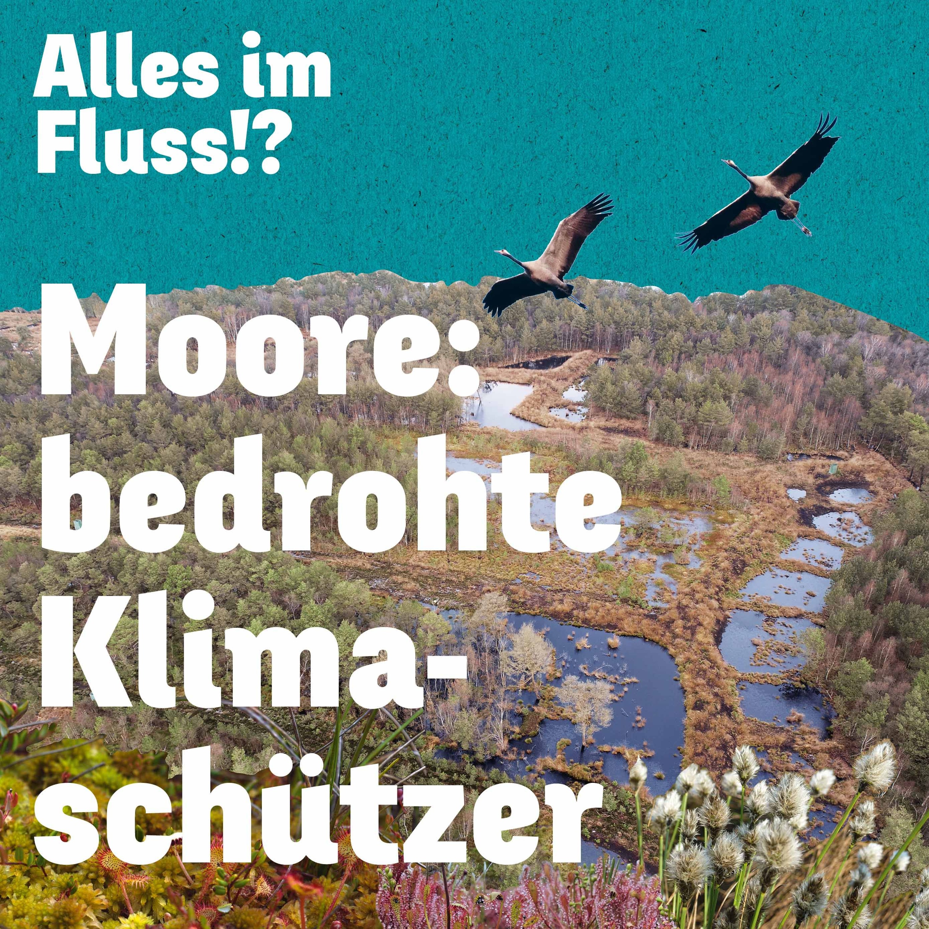 Weiterdenken