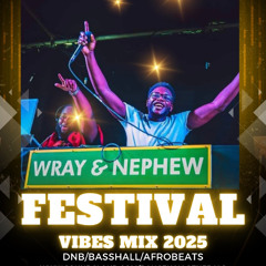 FESTIVAL VIBES 2025 - DNB/BASSHALL/AFROBEATS ft Burna Boy, Shy Fx, Tyla, Irah, Case & Status, Davido & more