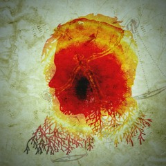 Entre Amigos | Vol. 7, Episodio 57