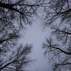In The Woods (Prod. Croisé Errant)