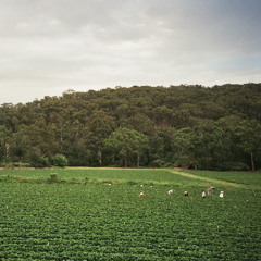 Healesville (feat. Badskin & Joseph Batrouney)