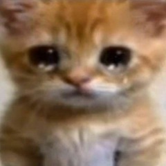 i'm not stargazing anymore since i let you leave