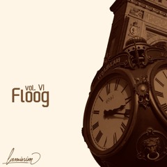 Volume VI - Floog