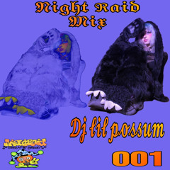 mix 1- dj lil possum