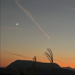 ˈfyo͞oCHər（feat.Namine. Neo¥zZro.Yooc）