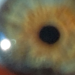 girls like drug dealers prod. deshawn swag n Carl