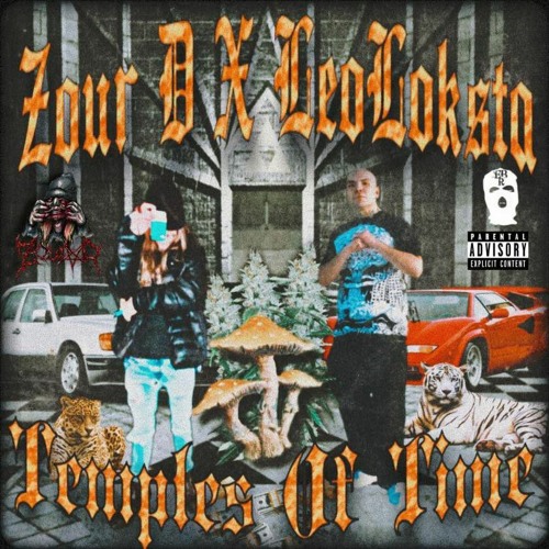 ZOUR D X LEO LOKSTA - TEMPLES OF TIME (PROD.LOKSTA)