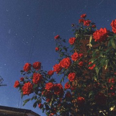 Drugs & Melodies [Prod Airbourn]