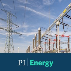 Litewska droga do niezależności energetycznej | Energia do zmiany