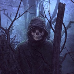 A Walk in The Forest