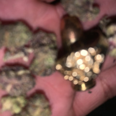 33 if you wanna leave