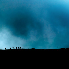 Osnovy Konservatsii (Fundamentals Of Conservation), 120 BPM/WAV