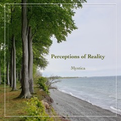 Perceptions Of Reality